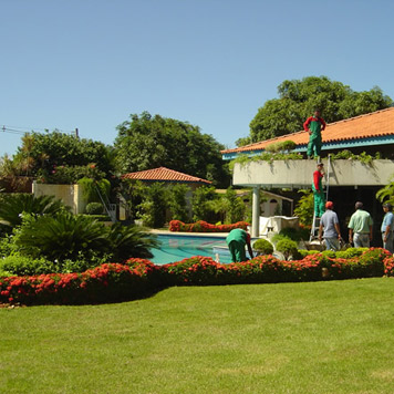 Jardinagem e Paisagismo